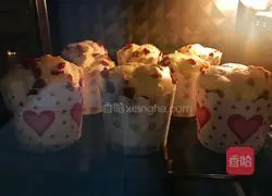 Cranberry Cup Cake Recipe Illustration 17