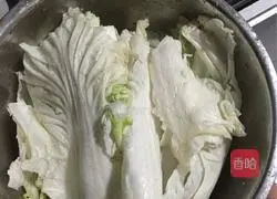 Youjia’s Secret Korean Kimchi Recipe Illustration 1