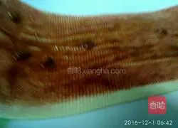 Assorted Tofu Rolls Recipe Illustration 11