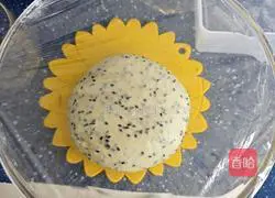 Sesame French balls Illustration of how to do it 8