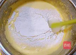 Whole Egg Cake (Dried Blueberry) Illustration 6