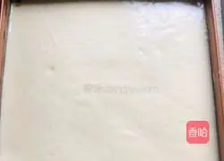 Cranberry Tiger Cake Roll Recipe Illustration 8