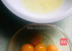 Cranberry Tiger Cake Roll Recipe Illustration 1