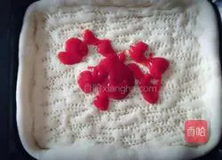 Assorted Pizza Recipes Illustration 6