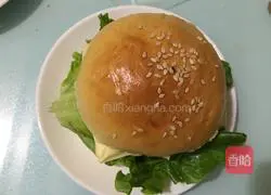 Crispy Chicken Steak Cheeseburger Recipe Illustration 17