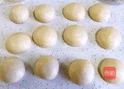 Country Whole Wheat Bread Recipe Illustration 5