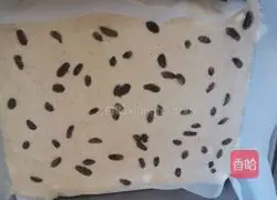 Cake embryo recipe 13