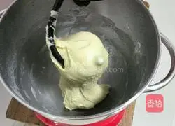 Flowers Illustration of making cheese bread 4