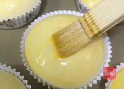 Hamburger embryo ( Illustration of the method of seeding) 11