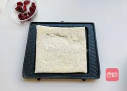 Cranberry Sandwich Recipe Illustration 3