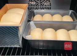 Illustration of how to make naturally fermented toast bread 4