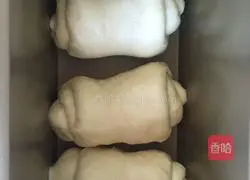 Yoghurt toast recipe 12