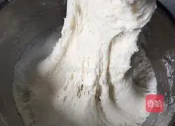 Illustration of how to make papaya pizza 2