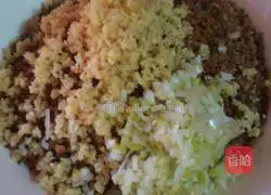 Illustration of how to make crispy beef dumplings 5