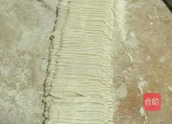 Illustration of how to make braised noodles (braised with cabbage, fungus, carrot and meat) 12