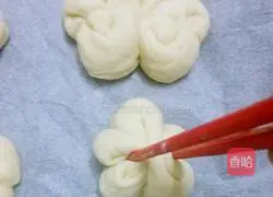 Illustration of how to make pattern buns 14
