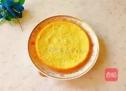 Spring Flowers Blooming Illustration 20