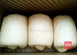 Whole wheat yogurt toast recipe 18