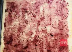 Cranberry Tiger Cake Roll Recipe Illustration 12