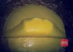 Mango pancake recipe 5