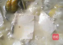 Wangya Fish, Wolfberry and Tofu Soup Illustration of how to do it 5