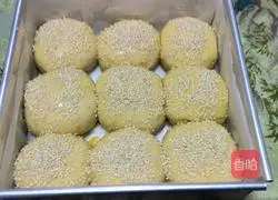 Cheese bread recipe 11