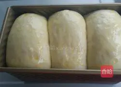 Hokkaido Illustration of making toast 13