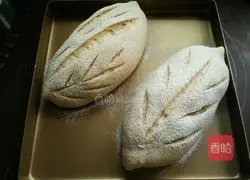 Whole wheat bacon bread recipe 13