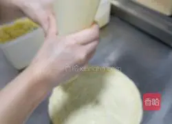 Professional Durian Pizza Recipe Illustration 11