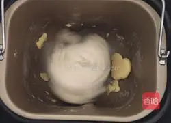 Chicken King Oyster Mushroom Pizza Recipe Illustration 2