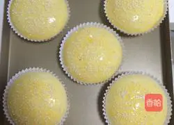 Illustration of how to make hamburger embryos (medium seeding method) 12