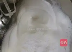 Cake embryo recipe 3