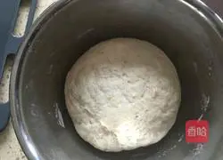 Illustration of Crispy Bottom Cherry Tomato and Colorful Vegetable Pizza 3