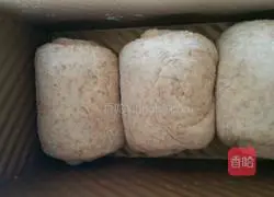 Whole wheat toast recipe illustration 6