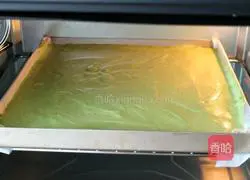 Illustration of Matcha Cream Cake Roll 13