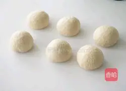 Healthy Whole Wheat Bread (Lazy People's Version) Illustration of 100% Successful and Soft Taste 6