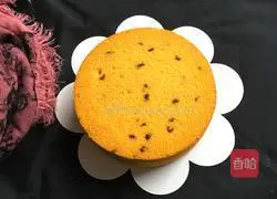 Cranberry Pumpkin Cake Recipe Illustration 25