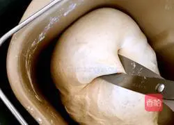 Country Whole Wheat Bread Recipe Illustration 3