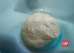 Vegetable pizza recipe 1