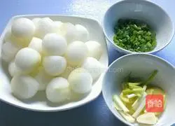 Illustration of braised winter melon balls 1