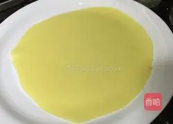 Mango Pancake Recipe Illustration 5