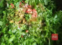 Illustration of how to make shepherd's purse vegetables 4