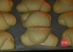 Illustration of how to make bread 5