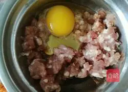 Thousand-layer tofu roll recipe 4