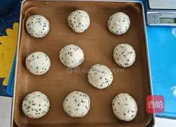Sesame French Ball Recipe 10