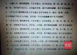 Shaanxi Saozi Noodles Illustration 16