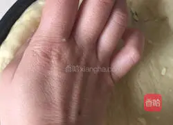 Illustration of how to make oyster mushroom pizza 9