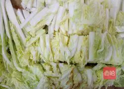 Illustration of how to make assorted cabbage 2