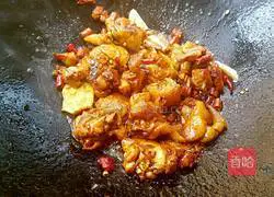 Illustration of how to make braised chicken 9