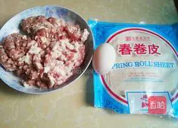 Pork Spring Rolls Recipe Illustration 1